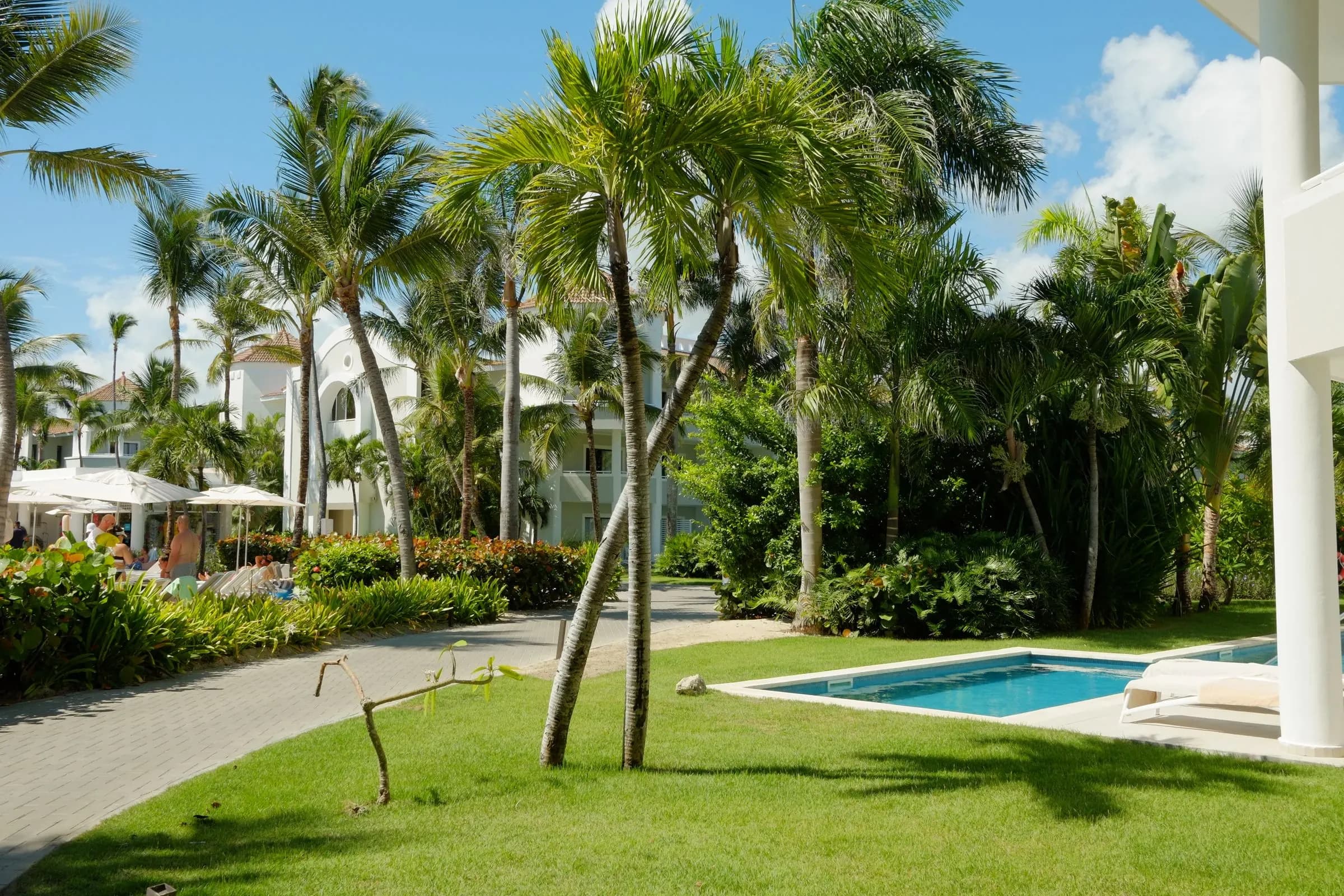 Jardín con palmeras y piscina junto a una casa.